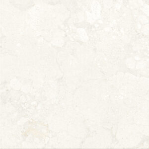 BM60TR04M FOSSIL IVORY MATT R10 RAN12 60X60 CM