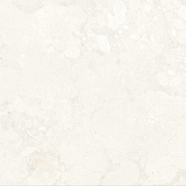 BM60TR04M FOSSIL IVORY MATT R10 RAN12 60X60 CM