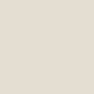 CAMBRIDGE-50C WHITE CAMBRIDGE IVORY MATT R9 RAN 60X60 CM