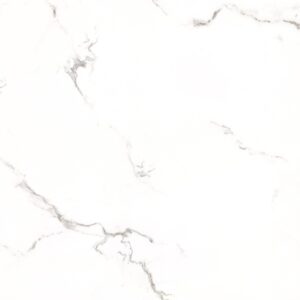 CP6084T CALACATTA WHITE POLISHED RAN6 60X60 CM