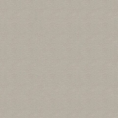 CRV6008 CRETE STONE BEIGE ROUGH + MOULD R10 RAN 60X60 CM