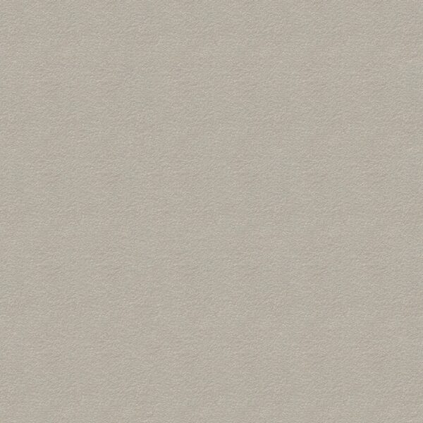 CRV6008 CRETE STONE BEIGE ROUGH + MOULD R10 RAN 60X60 CM