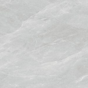 D3-B8881 ARRAN GREY POLISHED RAN4 80X80 CM