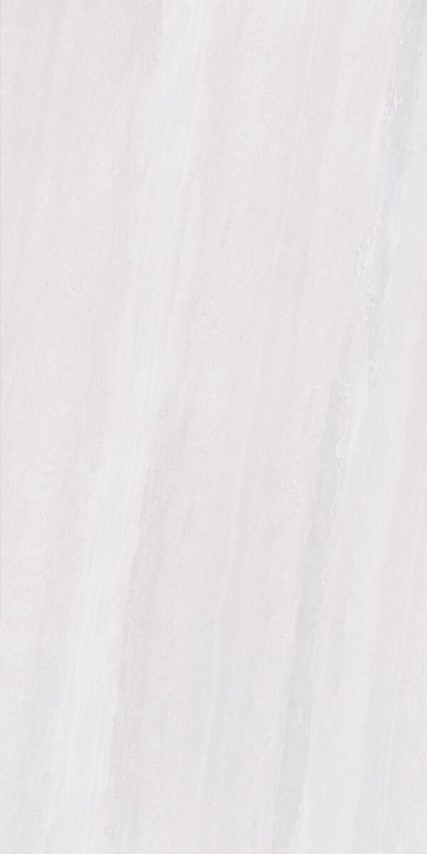 DR12640N SANDSTONE GREY MATT R9 RAN6 60X120 CM