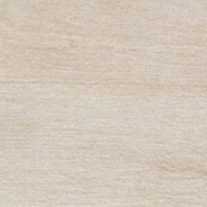 DW212095 DARWIN ASH MATT R9 RAN12 20X120 CM