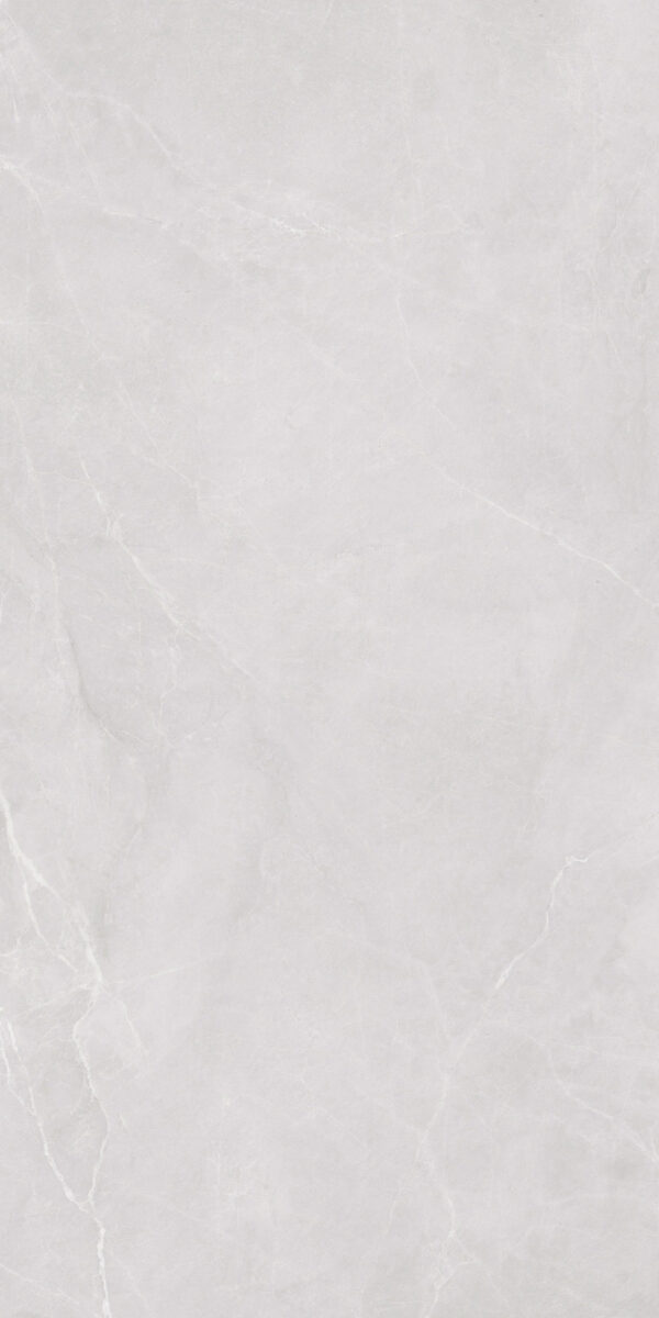 ED126P916A NORDIC BIANCO LIGHT GREY POLISHED RAN2 60X120 CM