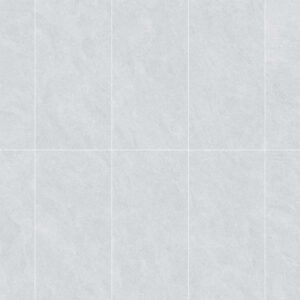 FL612SP01RG SONDRIO BIANCO MOULD+MATT RAN10 60X120 CM