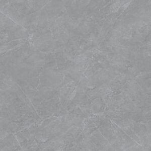 H1210 DESERT GREY GREY POLISHED RAN4 60X120 CM