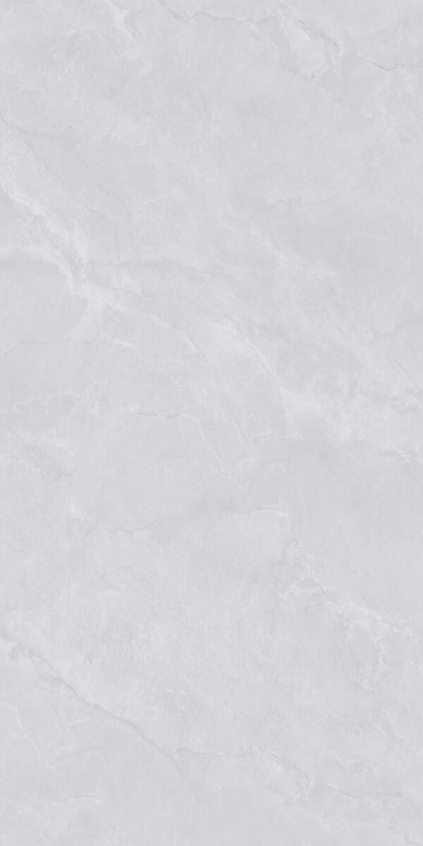 H127 BABYLON LIGHT GREY POLISHED RAN4 60X120 CM