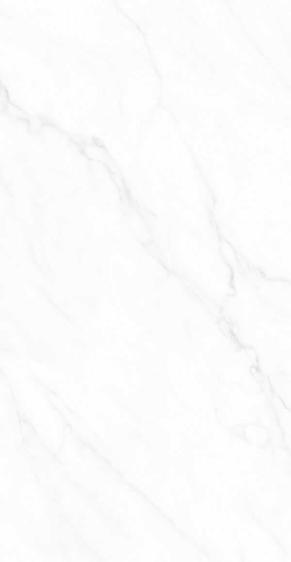 QN-126P820B ELIZABETH WHITE WHITE POLISHED RAN10 60X120 CM