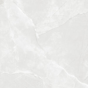 SDFN6760 LUNA ICE LIGHT GREY MATT RAN8 60X60 CM