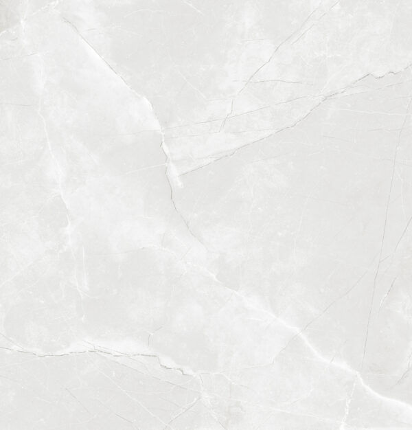 SDFN6760 LUNA ICE LIGHT GREY MATT RAN8 60X60 CM