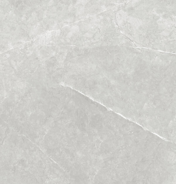 SDFN6770 VENUS LIGHT GREY MATT RAN8 60X60 CM