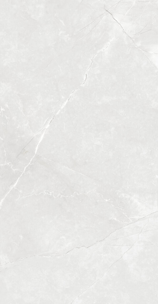 SDM126760M LUNA ICE LIGHT GREY MATT RAN6 60X120 CM