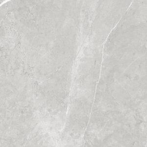 SDM126770M VENUS LIGHT GREY MATT RAN6 60X120 CM