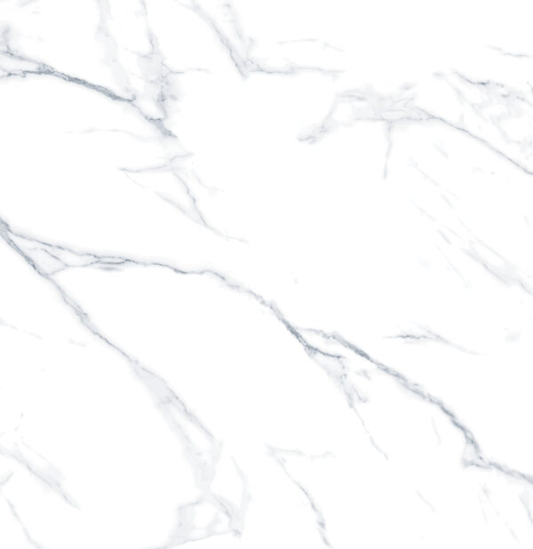 SDX6634P CALACATTA NEVE  WHITE POLISHED RAN8 60X60 CM
