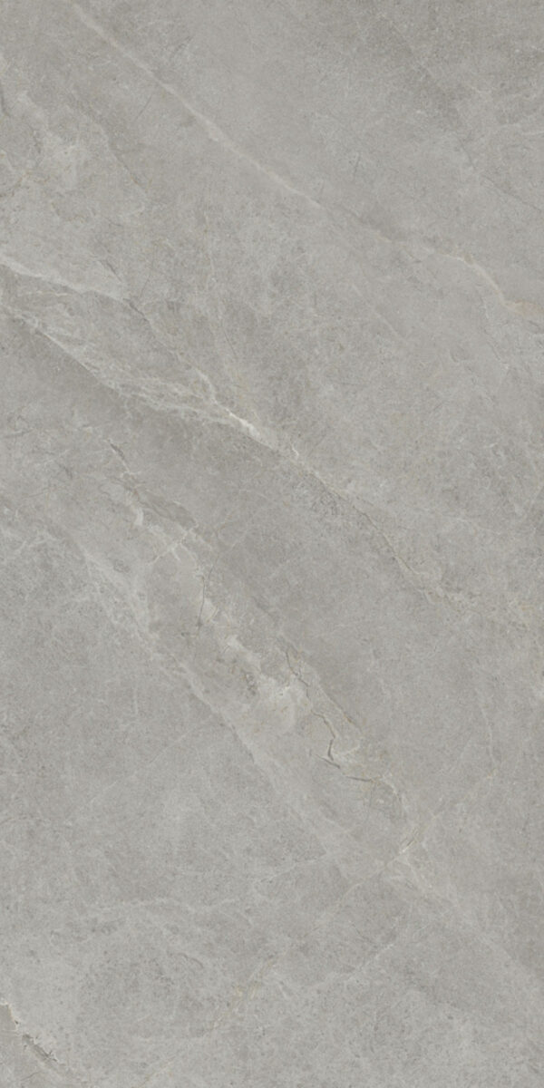 T1219 KENNETH GREY POLISHED RAN4 60X120 CM