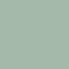 สีเขียว Amber