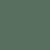 สีเขียว Sage