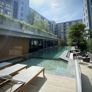 The-Nest-Swimming-Pool-Zone